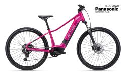 CTM RUBY GX 29 - matn� ru�ov� M (16)